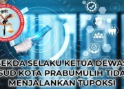 Sekda Selaku Ketua Dewas RSUD Kota Prabumulih Diduga Kuat Tidak Menjalankan Tupoksi, Sistem Pengadaan Barang / Jasa Tabrak Aturan