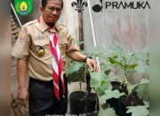 Inisiasi dan Aksi Nyata Peran Pramuka Dalam Ketahanan Pangan Keluarga